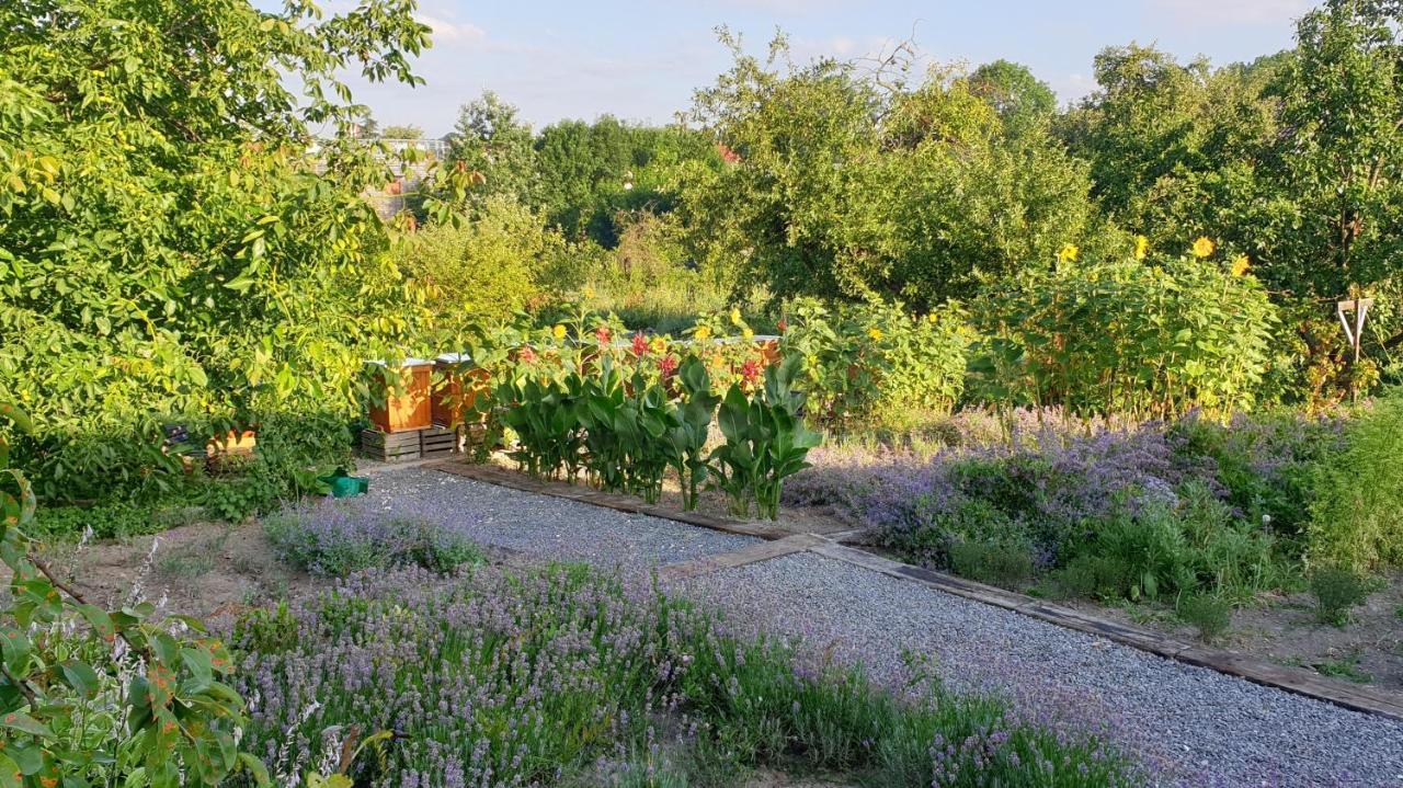 Agroturystyka U Joli Pacanow Ngoại thất bức ảnh